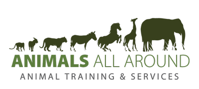 Animals All Around